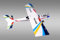   Domino (PH021)