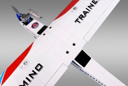   Domino (PH021)